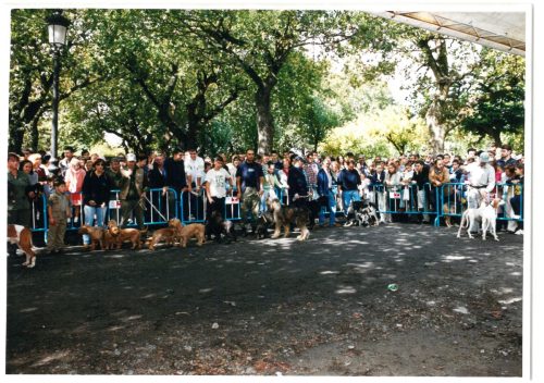 2000 Cans de caza 23
