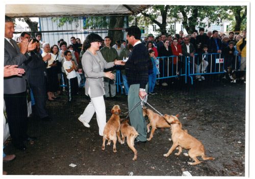 2000 Cans de caza 27