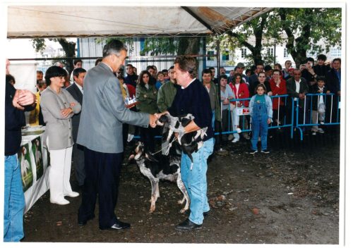 2000 Cans de caza 29