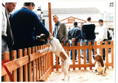 2000 Cans de caza 31