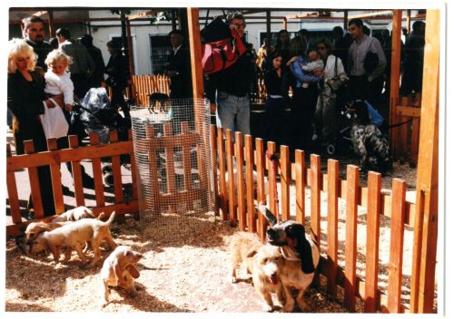 2000 Cans de caza 40