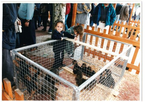 2000 Cans de caza 43