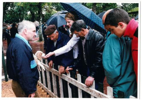 2000 Cans de caza 51